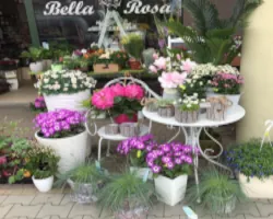 zdjęcie kwiatów przed pracownią florystyczną Bella Rosa